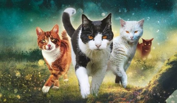 Dynastia #1 Spotkanie