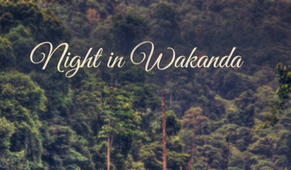 Night in Wakanda