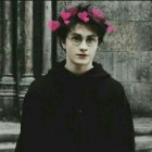 _Potter_head_forever_