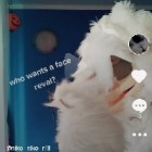 that_furry