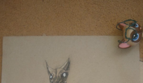 Galeria rysunkowa *13