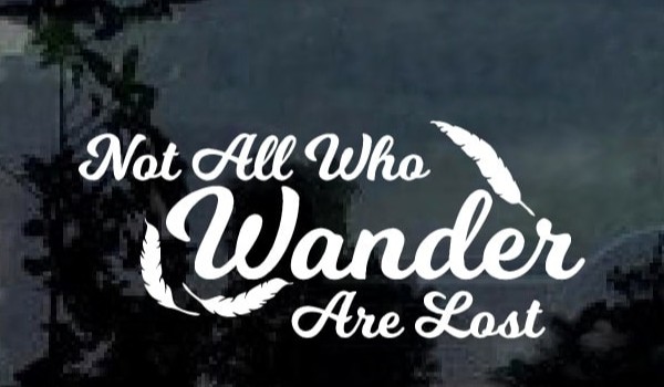 Not all  who wander are lost #5