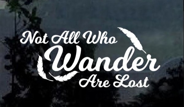 Not all  who wander are lost #6