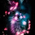 XxgwiazdkaxX