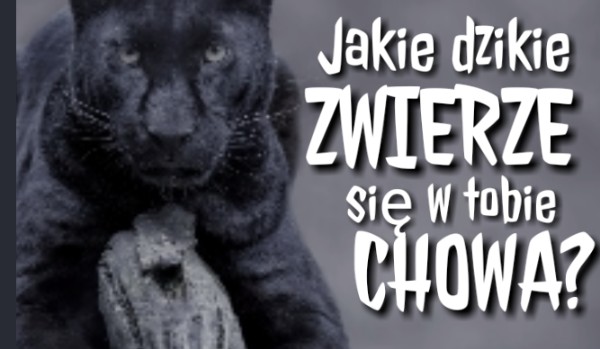 Jakie dzikie zwierze sie w tobie chowa?