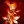 born_in_flames