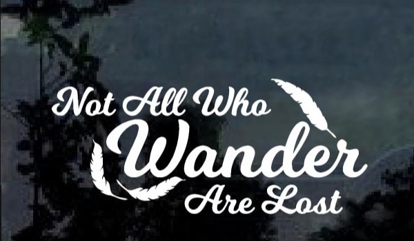 Not all  who wander are lost #4