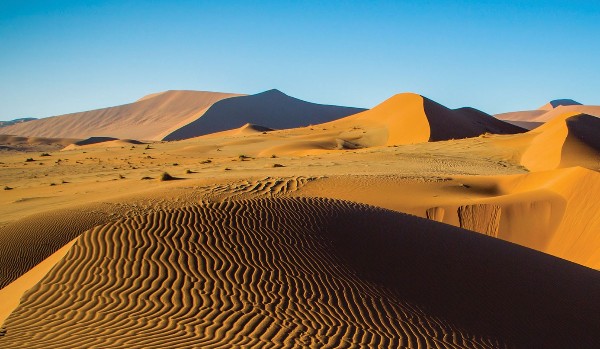 Pustynie gorące !!! Quiz Test Szkolny !!!!!!!