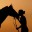 HorseLover2000