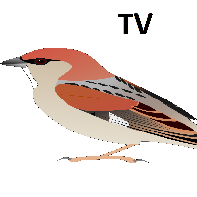 WrobelTV