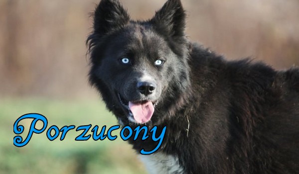 Porzucony… (rodział 1)