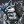 Shadow_Of_The_Blue_Wolf