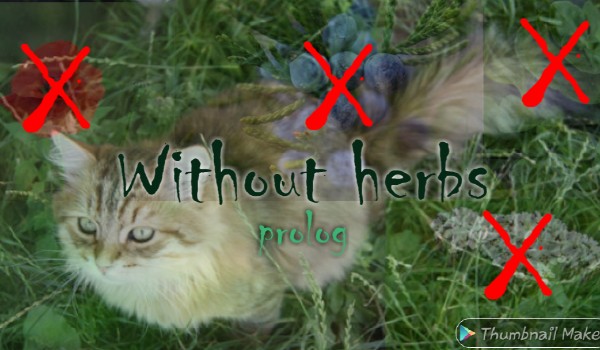 Without herbs
