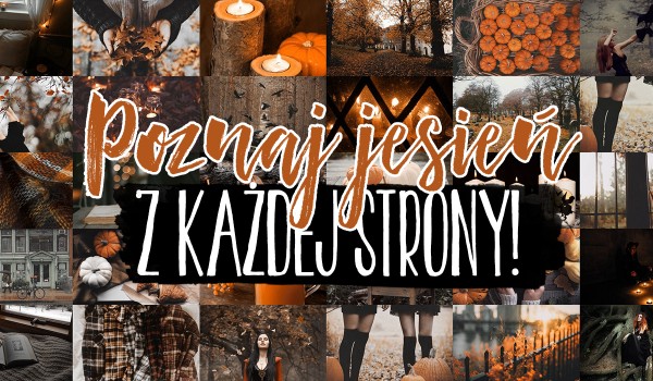 Poznaj jesień z każdej strony!