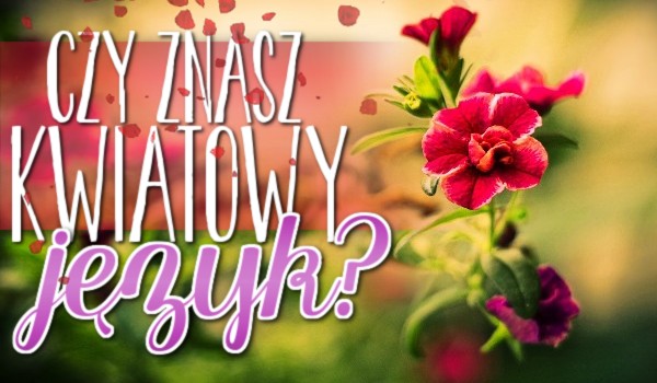 Czy znasz kwiatowy język?