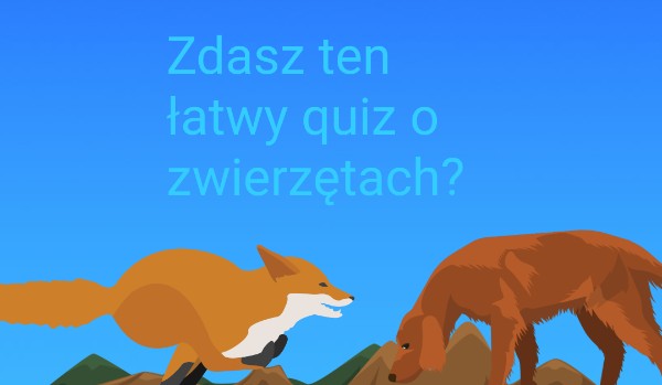 Zdasz ten łatwy quiz o zwierzętach?