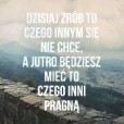 Fan.quizy508