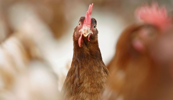 straszne historie z mojego życia :O #3