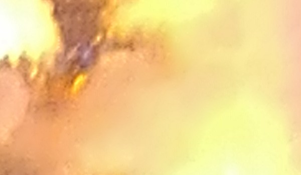 Fakty przed faktami 2