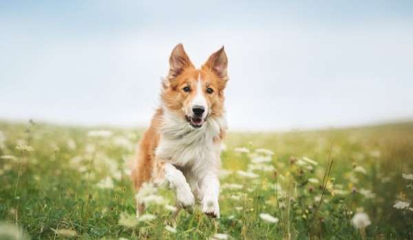 Q&A – Specjał na 500 serduszek! Odpowiedzi