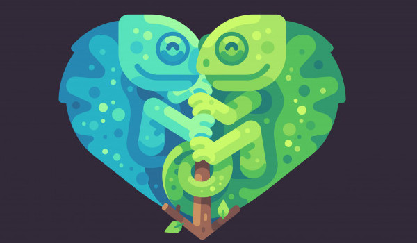 ile wiesz o kameleonach?