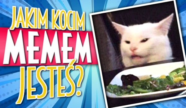 Jakim kocim memem jesteś?