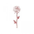 __Ameliae__