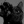 suicidal_cat