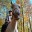 Horses_of_my_life