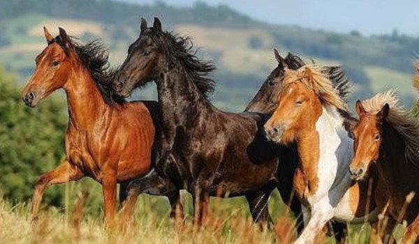 „W stadzie” cz. 5 „ Sekret ”