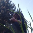 lens.uwu