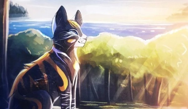 Kocie wojowniczki #2