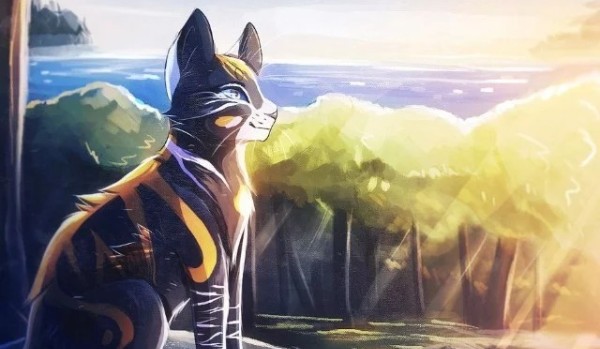 Kocie wojowniczki #1