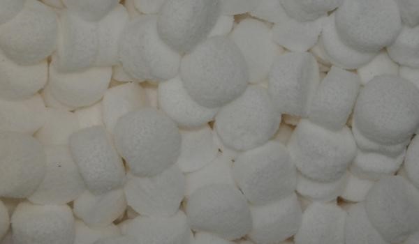 Jakim kotem byś był?