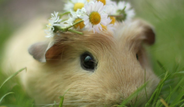 geometria (powtórzenie)