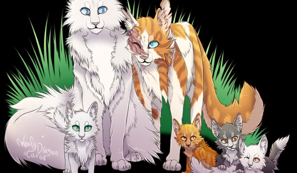 Kim byliby twoi rodzice gdybyś był kociakiem klanowym?