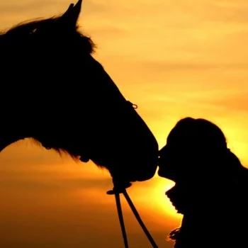EquineWoman
