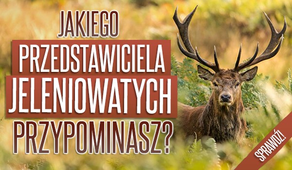 Jakiego przedstawiciela jeleniowatych przypominasz?