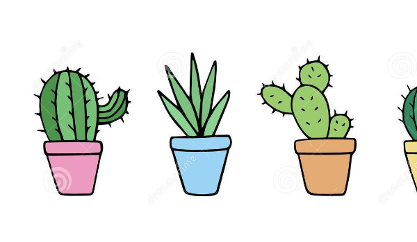 którym kaktusem jestes?