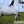 martik_11
