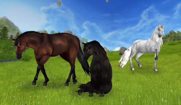 Jak dobrze znasz rasy koni w grze Star Stable Online?