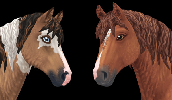 którego konia dostałbyś/abyś na święta w sso?