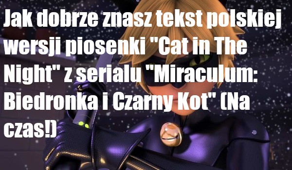 Jak dobrze znasz tekst polskiej wersji piosenki „Cat in The Night” z serialu „Miraculum: Biedronka i Czarny Kot” (Na czas!)