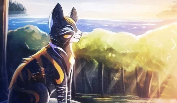 Kocie wojowniczki #3