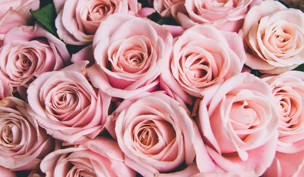 Ocenienie profili – @.Japan.