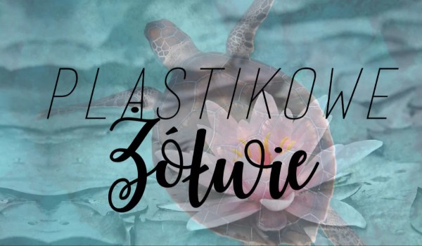 Plastikowe żółwie #11