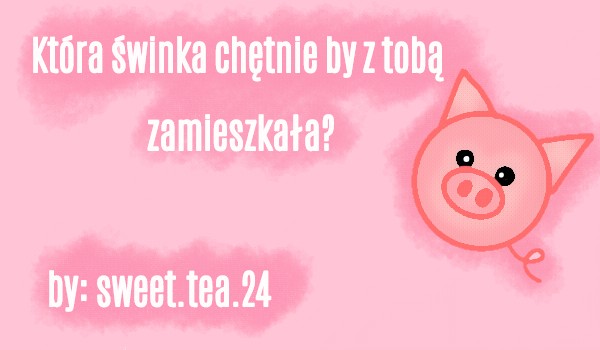 Która świnka chętnie by z tobą zamieszkała?
