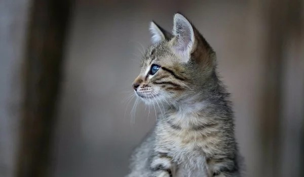 Ułuż swoje życie 2