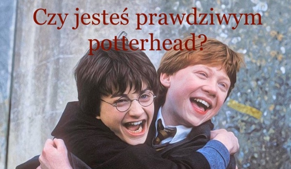 Harry Potter.  Czego tu brakuje?