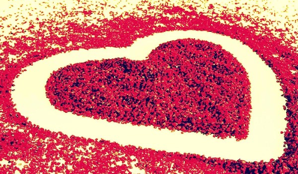 Wybierz psa i zobacz jak twój chłopak będzie się nazywać